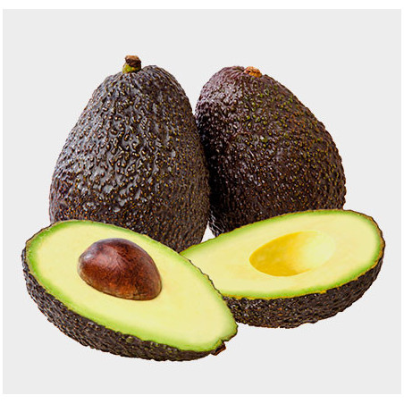Aguacate-Hass-XL
